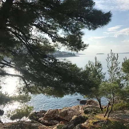 Lokvice Appartement Primošten