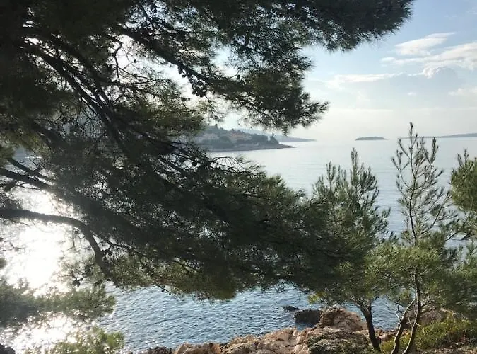 Lokvice 아파트 프리모스턴